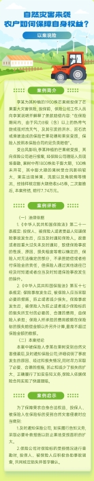 自然災(zāi)害來(lái)襲，農(nóng)戶如何保障自身權(quán)益？